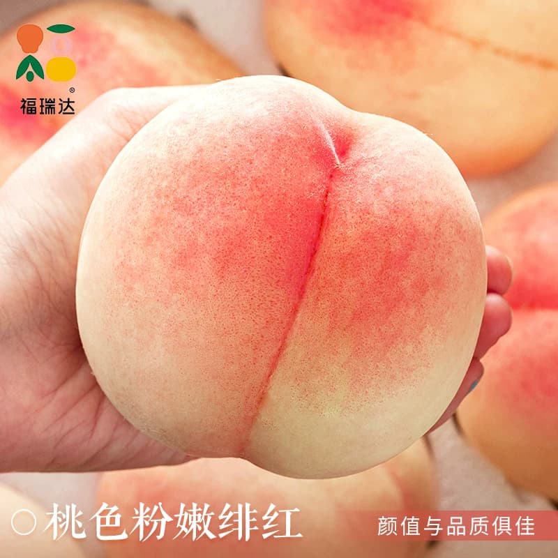 新鲜现摘水蜜桃10斤毛桃子当季露天水果脆甜春雪蜜桃大果孕妇整箱 - 缩略图4
