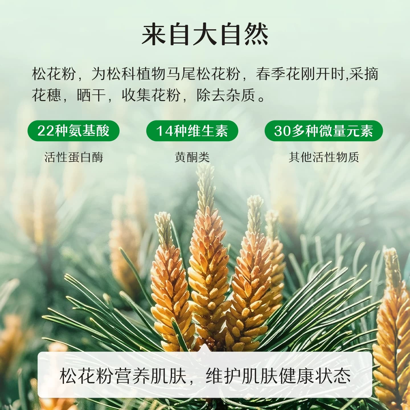 松达护肤松花粉2瓶婴儿爽身粉新生儿宝宝痱子粉舒缓不含滑石粉-t - 缩略图5