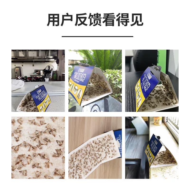 飞蛾诱捕器粘除米蛾子衣蛾陷阱面板小飞虫诱灭神器厕所杀虫剂蚋蠓 - 缩略图5