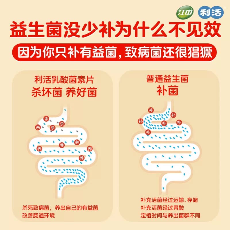 江中乳酸菌素片便秘健胃大人官方小儿消食益生菌肠胃腹泻胃肠道 - 缩略图4