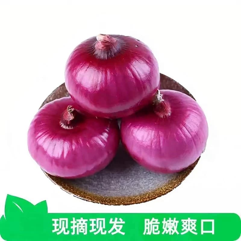 【芭芭农场兑换专享】紫皮洋葱5斤装 单果150g+ - 缩略图2