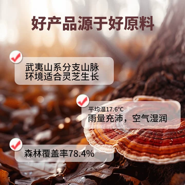 武夷山灵芝孢子粉正宗蓝帽头道破壁孢子粉麦角甾醇灵芝孢子粉胶囊 - 缩略图2