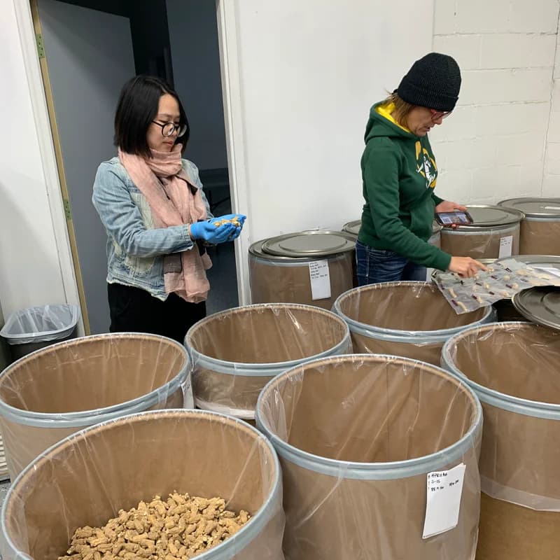 美国花旗参进口西洋参整枝美国农场直供价性价比高500克实惠装 - 缩略图2