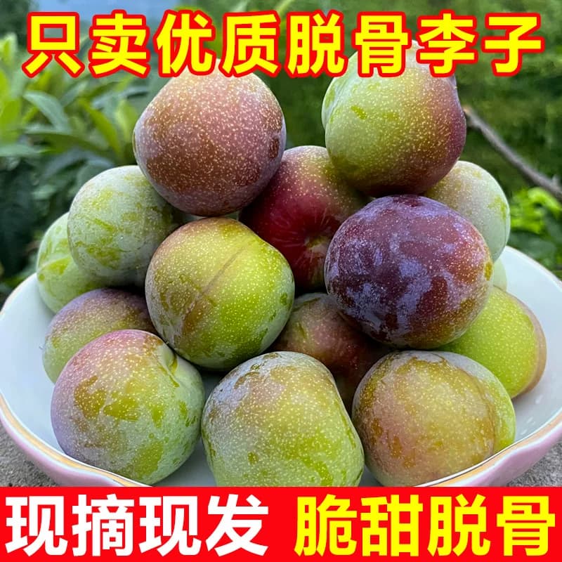 四川李子新鲜水果脱骨李子现货茵红李当季5斤脆甜半边红整箱包邮 - 缩略图4