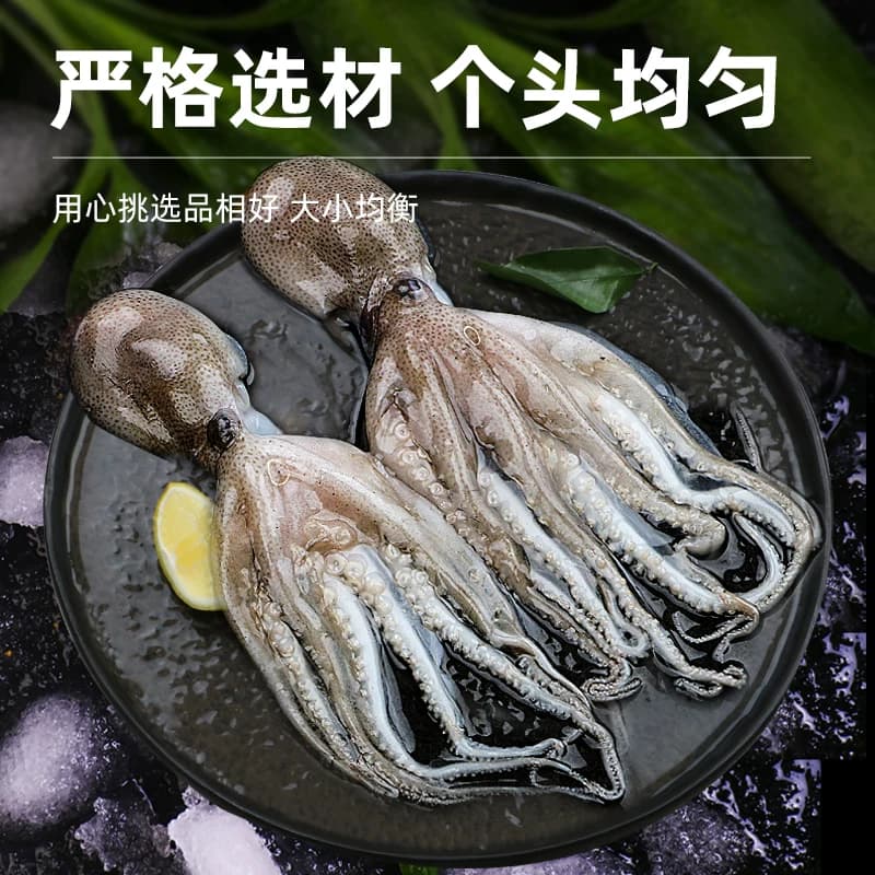 八爪鱼鲜活海鲜小章鱼水产新鲜爆头短腿八抓鱼冷冻迷你去内脏商用 - 缩略图3