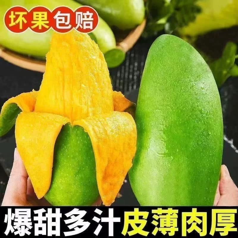 当季新鲜青皮金煌芒果现摘玉芒多汁多甜美味大个整箱芒果热带水果 - 缩略图2