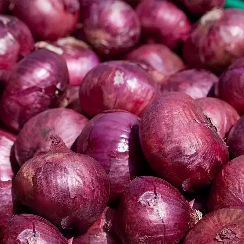 【芭芭农场兑换专享】紫皮洋葱5斤装 单果150g+ - 缩略图3