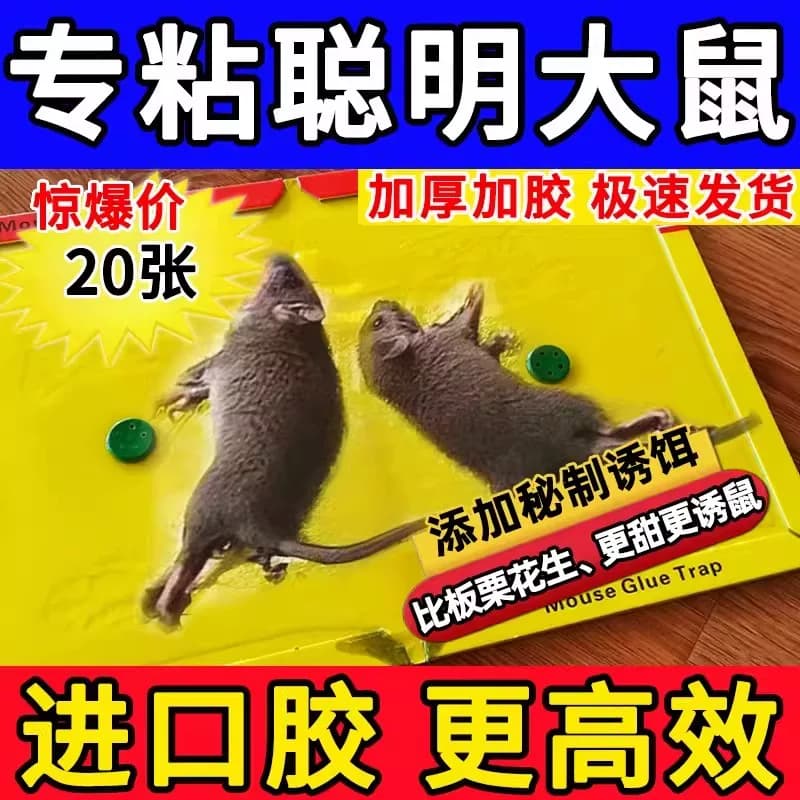 老鼠粘强力粘鼠板捕鼠神器强力胶粘大老鼠贴一窝端超强厨房家用贴 - 缩略图5