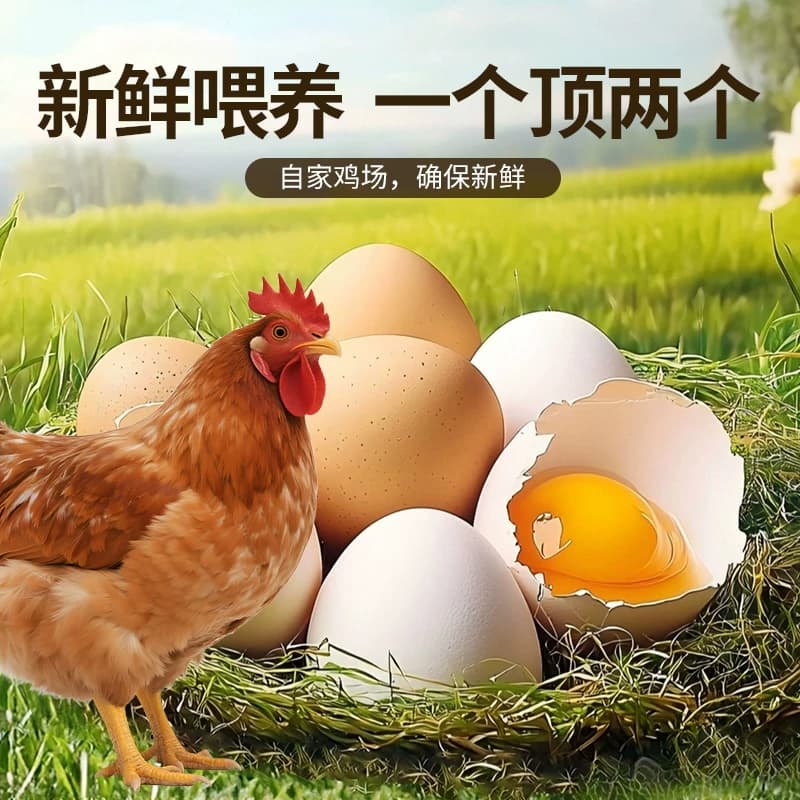 蛋喜记50g鸡蛋农家散养新鲜正宗营养健康产地珍珠棉包装谷物精选 - 缩略图4