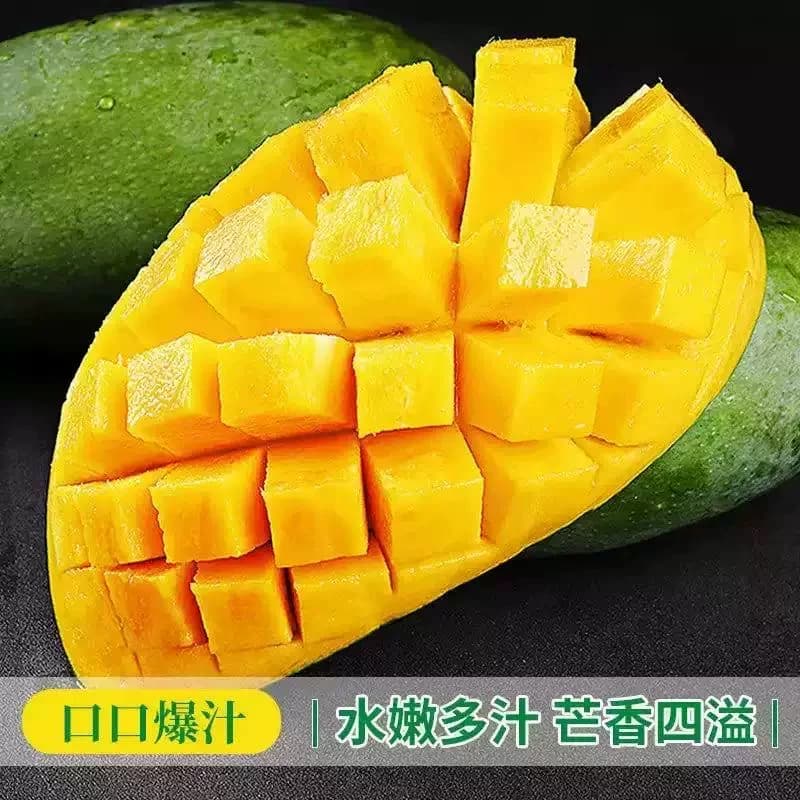 【芭芭农场兑换专享】大青芒3斤装单果400g＋ - 缩略图4