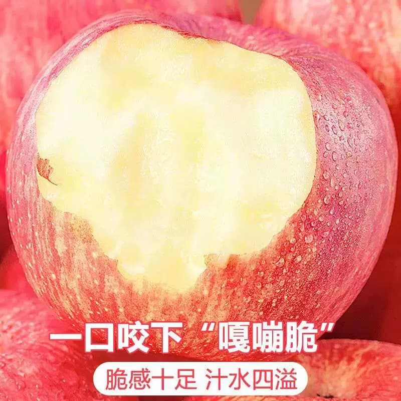 山东正宗烟台红富士苹果新鲜水果当季水果脆甜整箱好果批发现摘 - 缩略图2