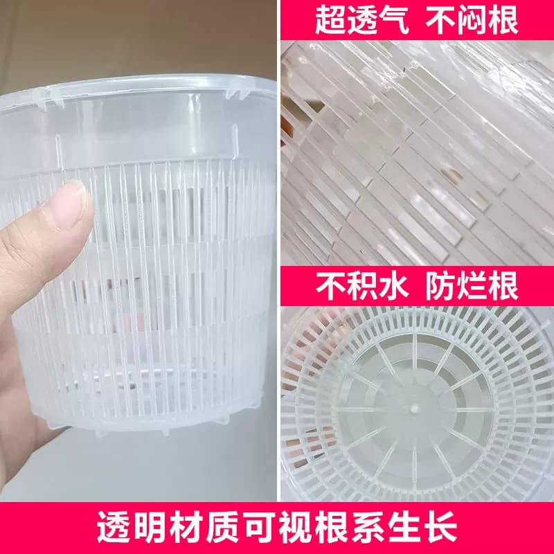 控根盆兰花专用盆透气控水防烂蝴蝶兰地面盆绿植盆桌面花卉盆园艺 - 缩略图3