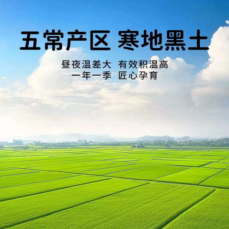 珍稻悠选当季东北五常大米5斤黑龙江大米真空包装产地煲仔饭煮粥 - 缩略图4