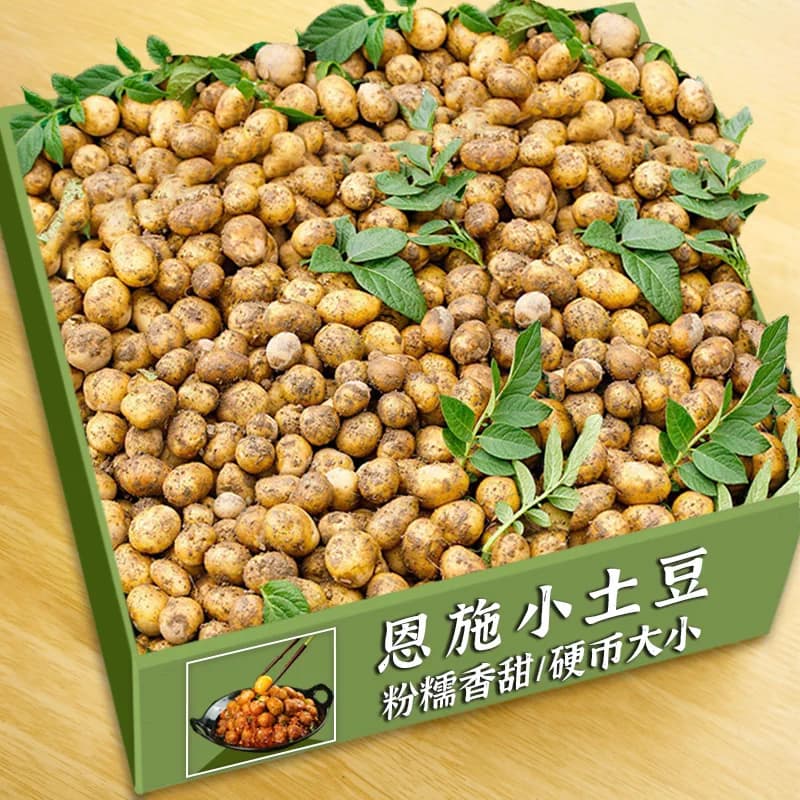 黄皮小土豆新鲜马铃薯正宗黄心薄皮土豆洋芋现挖蔬菜5香老品种 - 缩略图2