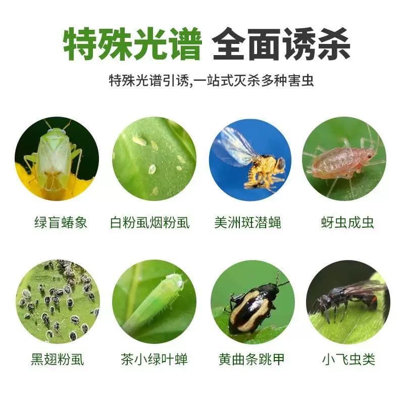 黄板双面粘虫板大棚专用小黑飞果蝇诱捕器诱虫板贴纸农用家用花园 - 缩略图4