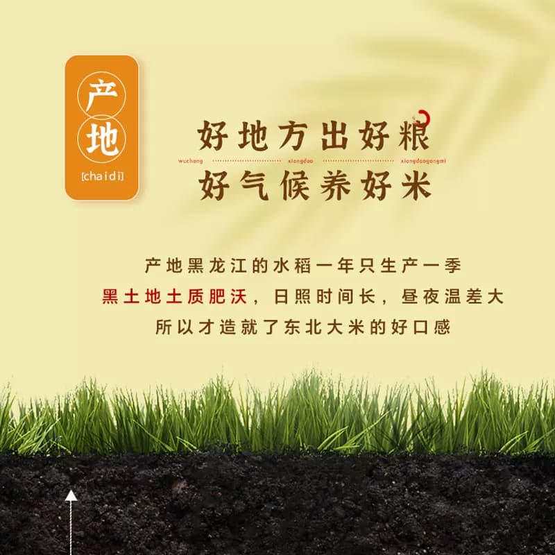 【芭芭农场兑换专享】稻花秦500g东北大米当季新米 - 缩略图2