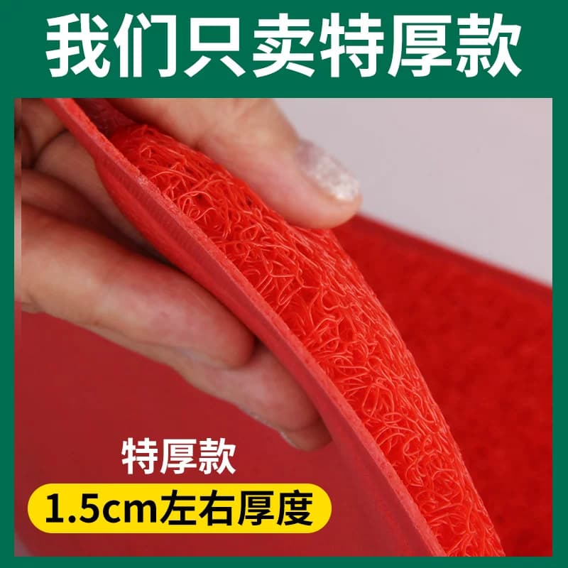 大门口家用地垫入户进门丝圈脚垫出入平安门垫欢迎光临防滑垫地毯 - 缩略图3