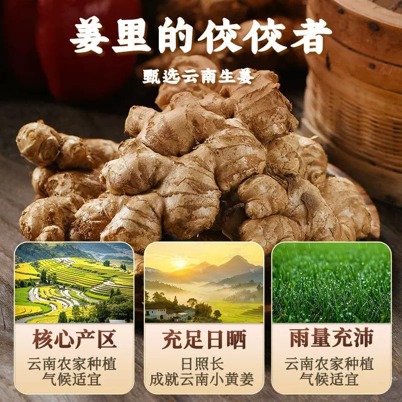 现挖老姜小黄姜生姜应季新鲜蔬菜姜云南特级批发调味料月子姜食用 - 缩略图2