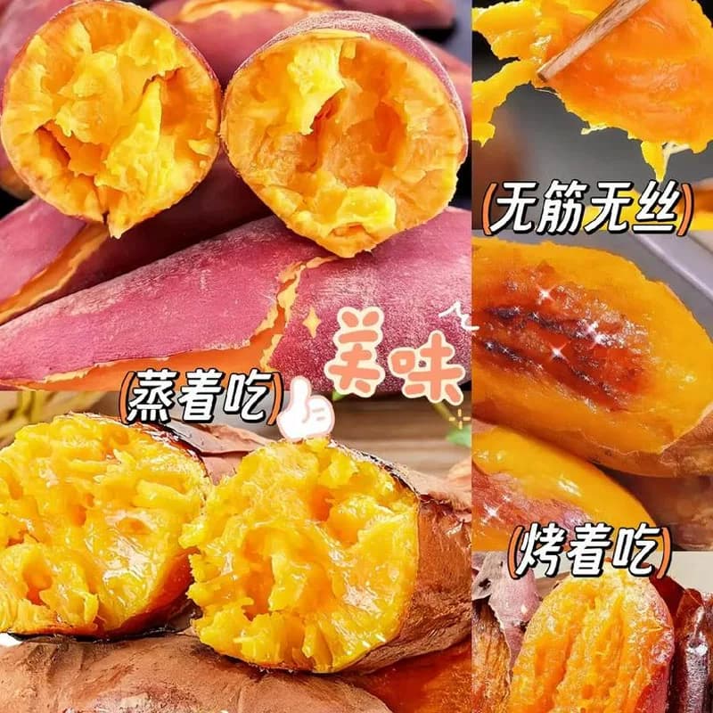 山东烟薯糖心烟25号5斤蜜薯红薯新鲜番薯沙地烤地瓜农科院山芋 - 缩略图3