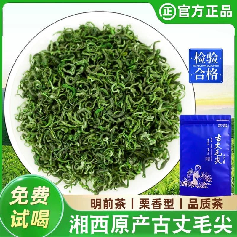古丈毛尖绿茶明前茶叶2026新茶浓香型早春嫩芽毛尖湘西手工茶炒青 - 缩略图2