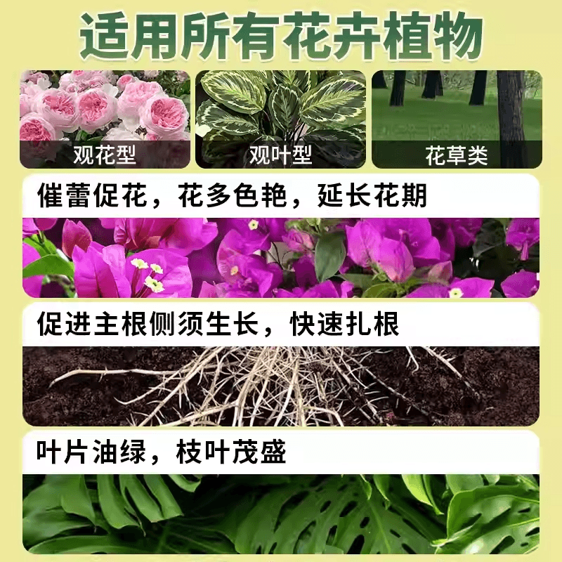 100斤营养土土壤种植土养花通用专用花土泥炭土50斤家用种菜土 - 缩略图5