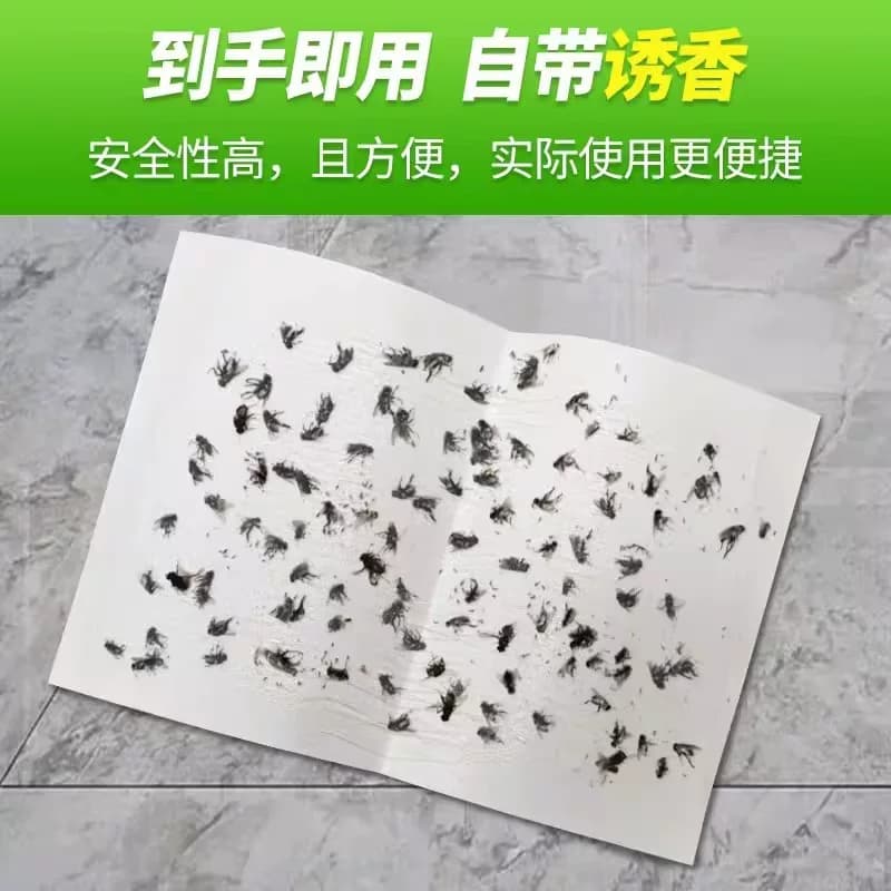 家用强力苍蝇贴粘蝇纸10张 - 缩略图4