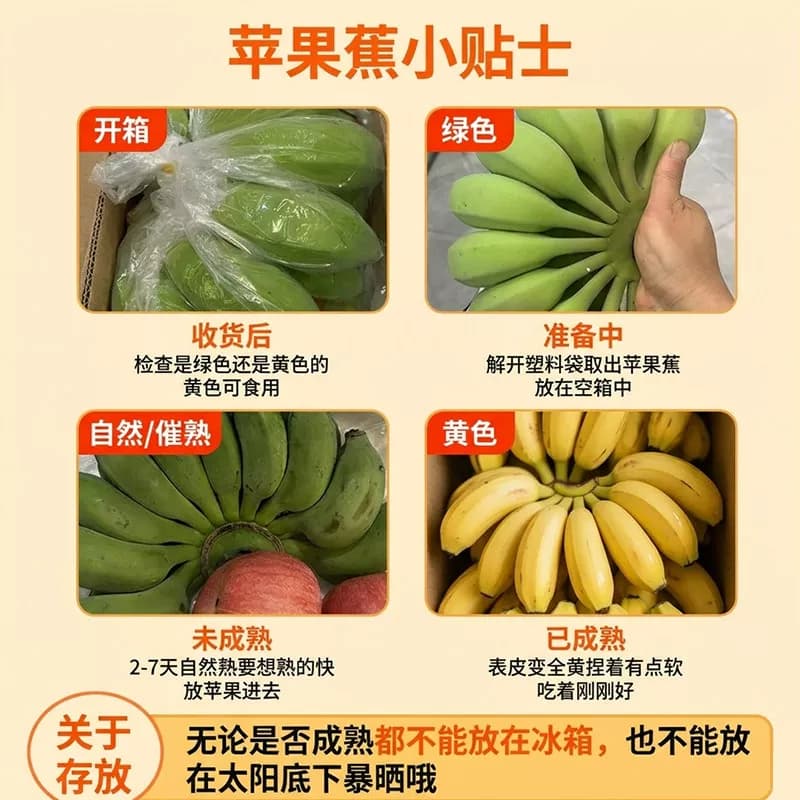 广西小米蕉当季新鲜水果自然熟小香蕉非芭蕉皇帝蕉整箱现摘大果 - 缩略图4