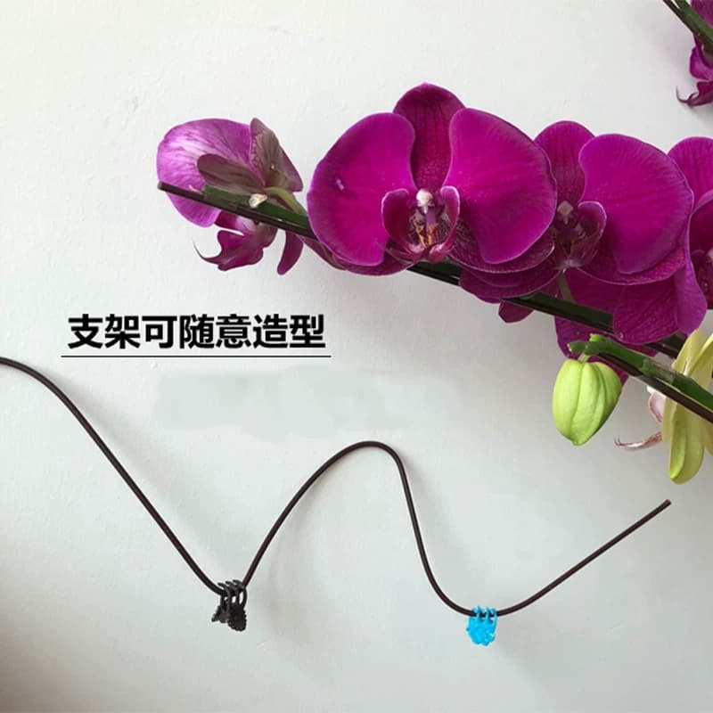 蝴蝶兰花植物支撑杆园艺支架兰夹子爬藤花卉固定蔓藤类专用兰花夹 - 缩略图4