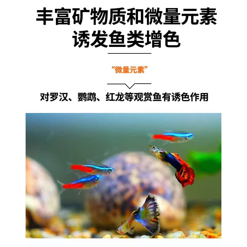 鱼缸滤材净水细菌屋过滤材料水族箱玻璃陶瓷环活性炭珊瑚骨火山石 - 缩略图3