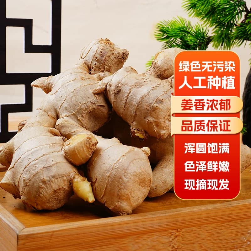 山东大姜优质生姜老姜新鲜大黄姜精品块老生姜老黄姜包邮食用姜汁 - 缩略图5