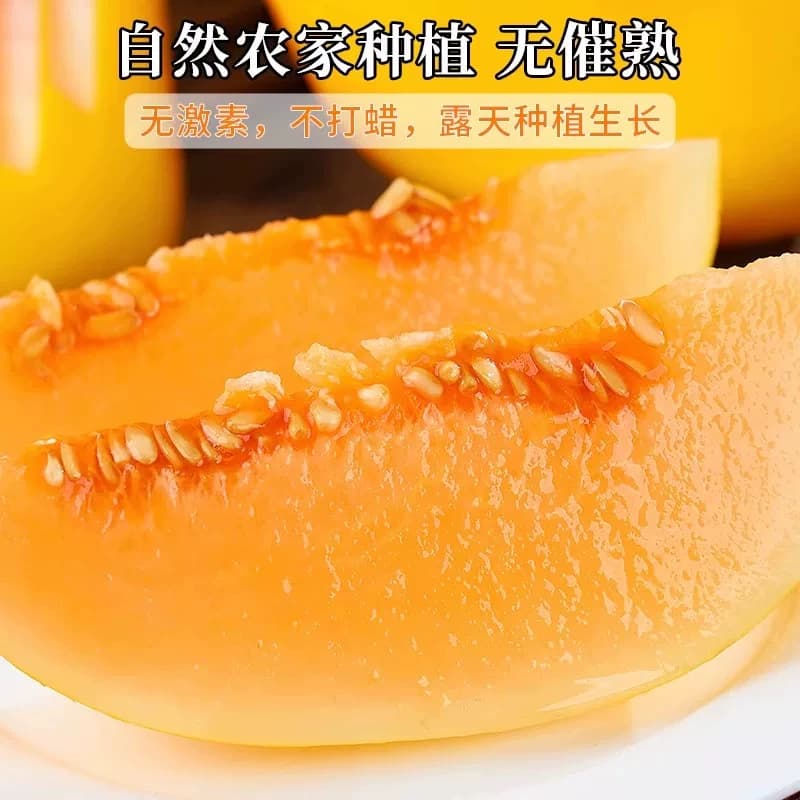 甘肃民勤黄河蜜瓜4-5斤甜瓜水果新鲜当季整箱沙漠黄金哈密瓜 - 缩略图4