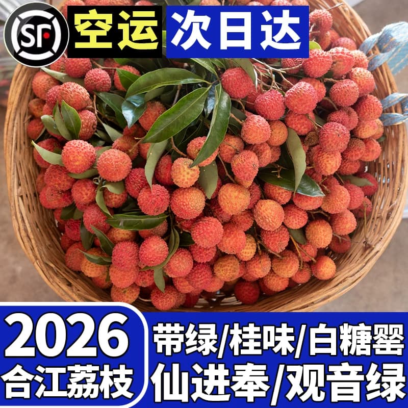 四川合江荔枝带绿新鲜桂现摘味现发观音绿妃子笑仙进罂白糖奉10斤 - 缩略图3