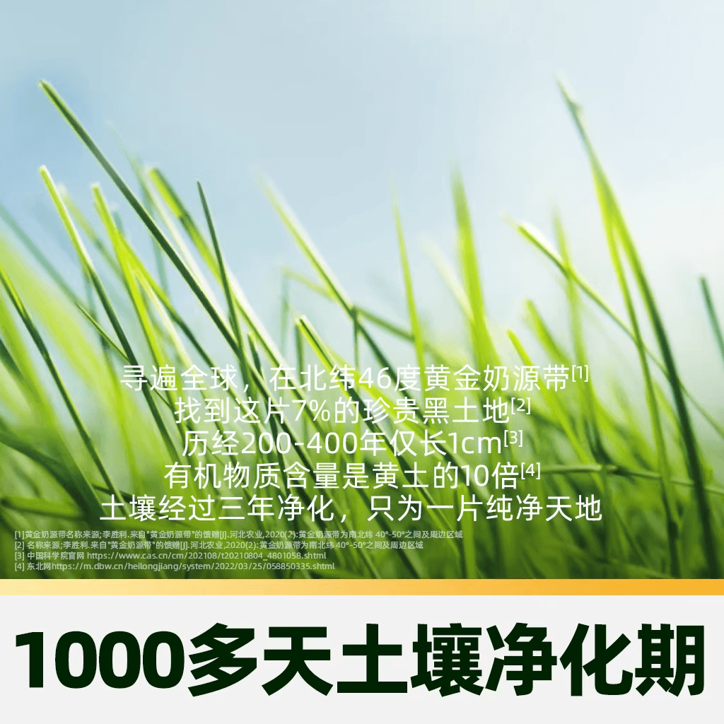 猫超臻选有机纯牛奶认养一头牛3.8g蛋白200ml*12盒*2箱牛奶整箱 - 缩略图3