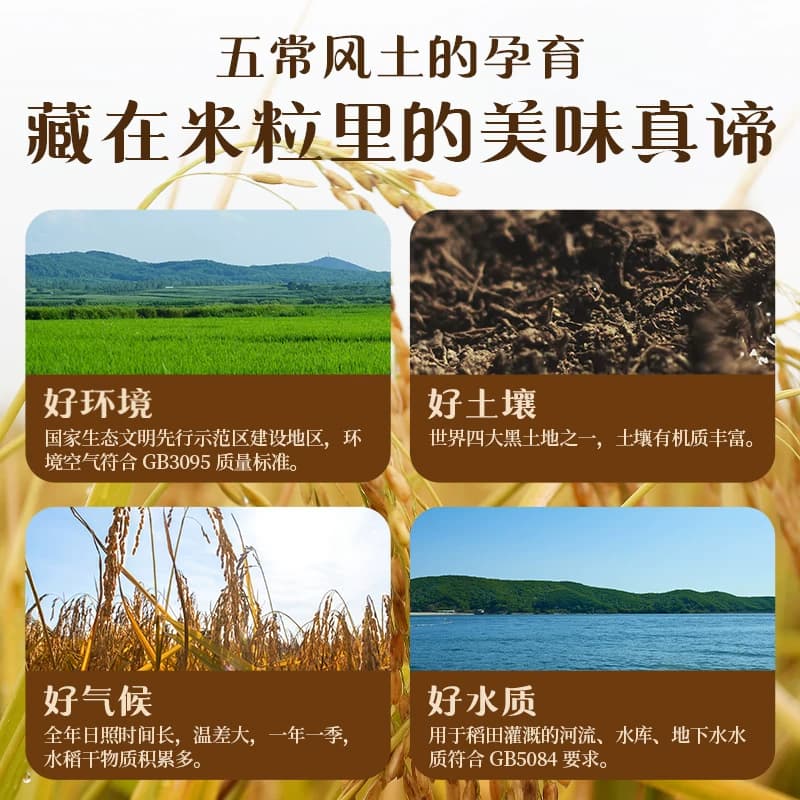 十月稻田五常大米5kg一年一季东北大米真空 - 缩略图3