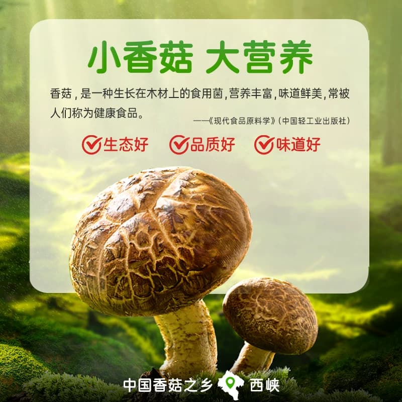 【0添加防腐剂】仲景香菇酱下饭酱菜拌面航天品质营养大粒蘑菇 - 缩略图4