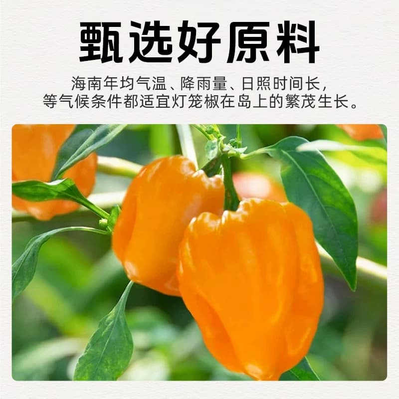 黄灯笼辣椒酱150g海南特色辣椒酱下饭拌面剁黄椒下饭酱调味蘸酱 - 缩略图3