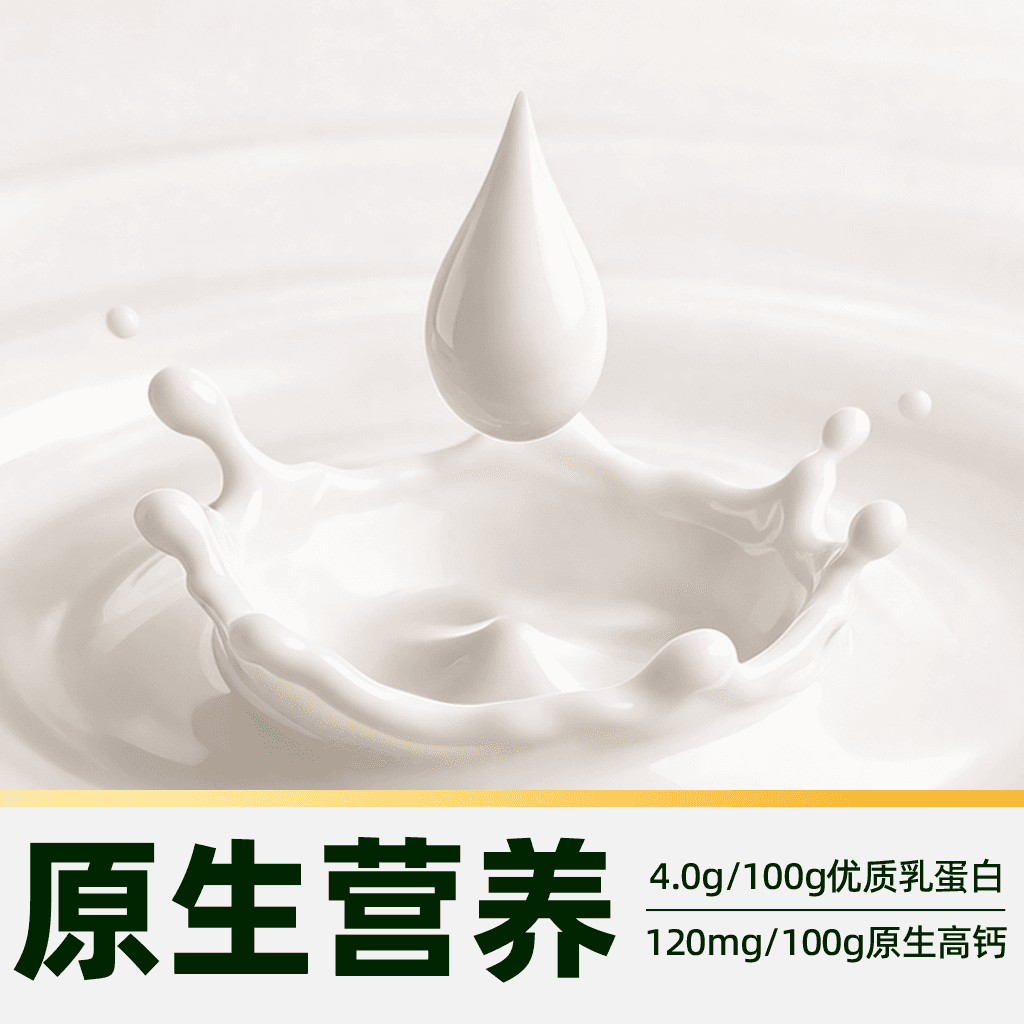 猫超臻选有机娟姗4.0纯牛奶菊乐204g*18盒优质蛋白原生高钙早餐奶 - 缩略图3