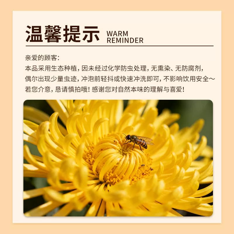 福东海金丝皇菊黄菊胎贡菊花茶去火非特级决明子金银花草茶大菊花 - 缩略图2