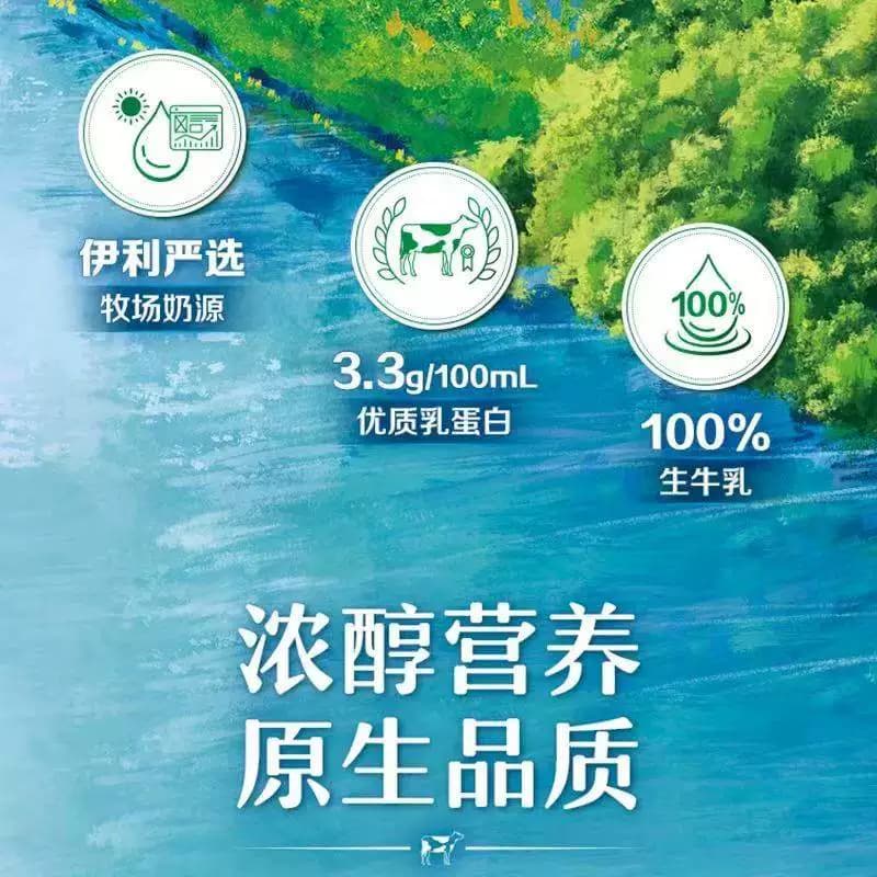 【3月产】伊利无菌砖纯牛奶整箱优质乳蛋白学生营养早餐 - 缩略图4