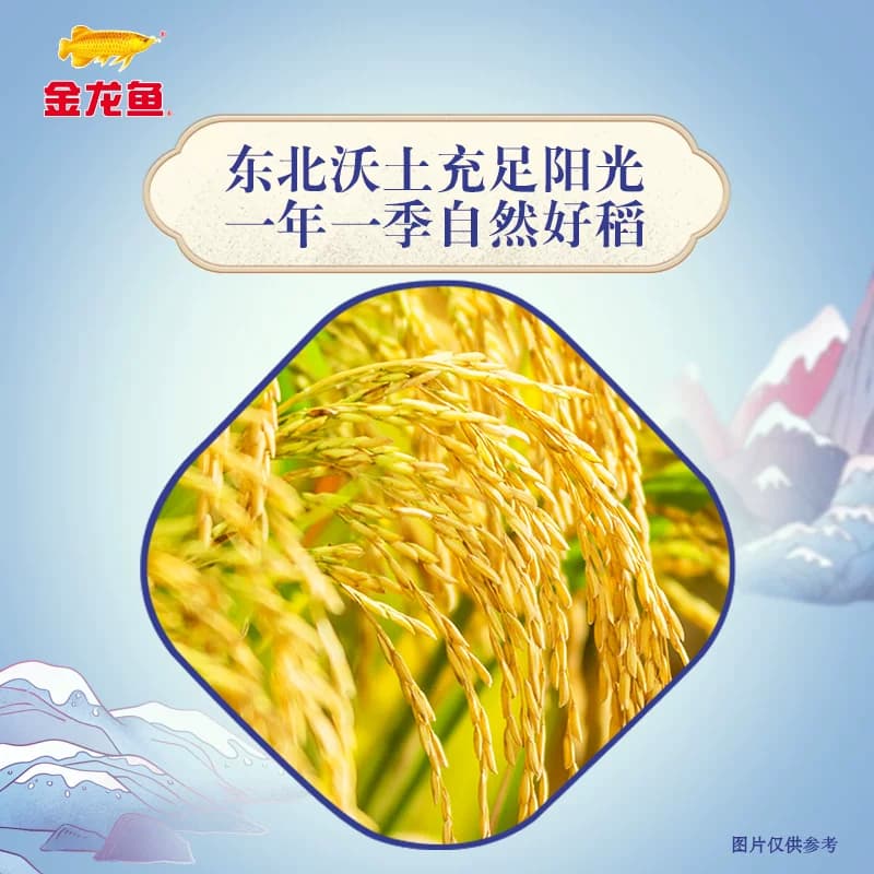 金龙鱼臻选稻香贡米东北大米寿司米香糯入魂 - 缩略图5