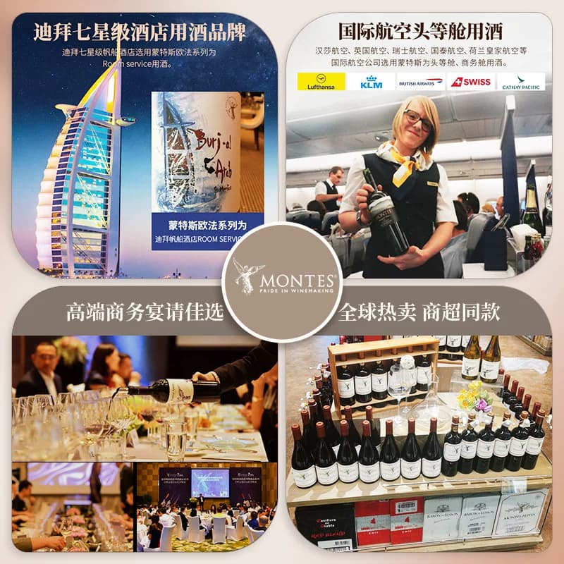montes蒙特斯天使系列梅洛葡萄酒智利进口红酒婚礼喜宴中秋送礼 - 缩略图4