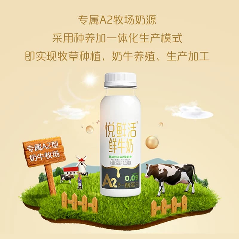 【郭晶晶同款】悦鲜活鲜奶A2型鲜牛奶450*4+A2型260*4 亲和易吸收 - 缩略图2