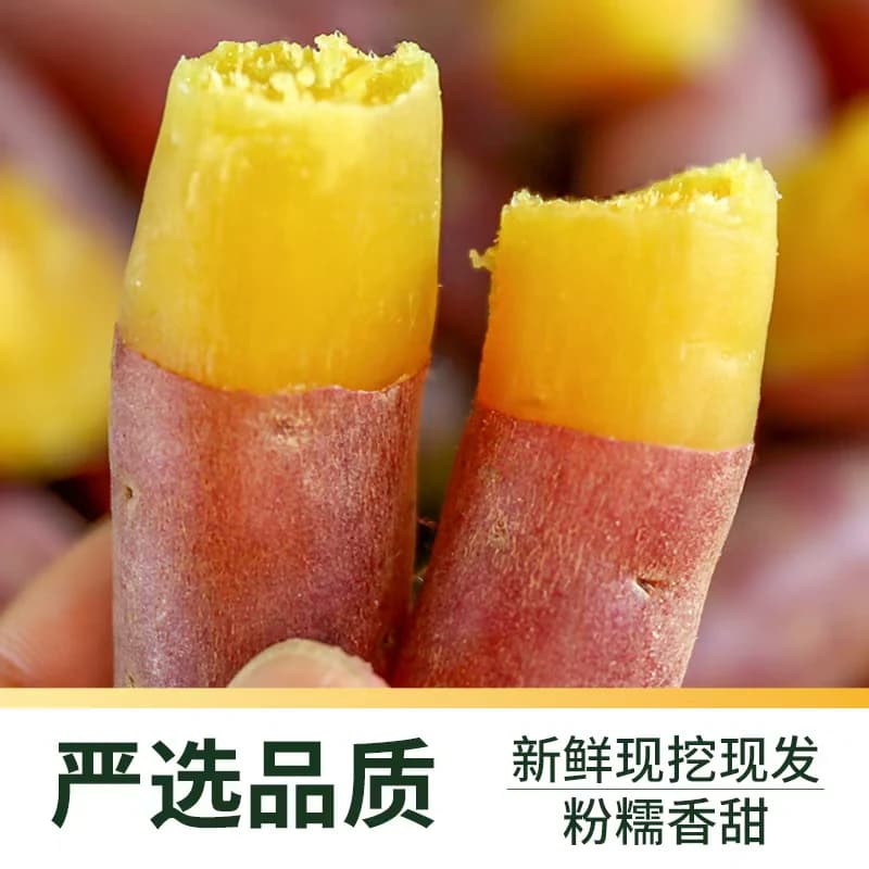 顺丰上门薯小萌天目山小香薯新鲜现挖皮薄粉糯香甜精选小果蒸煮用 - 缩略图4