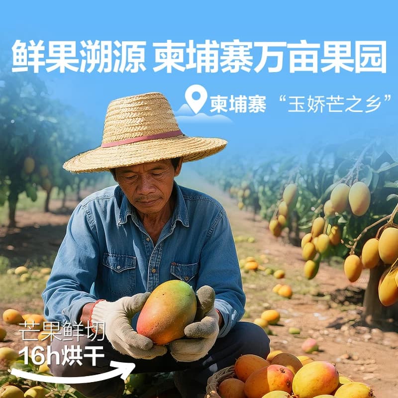 良品铺子芒果干水果干果脯年货节零食网红零食休闲小吃食品 - 缩略图3