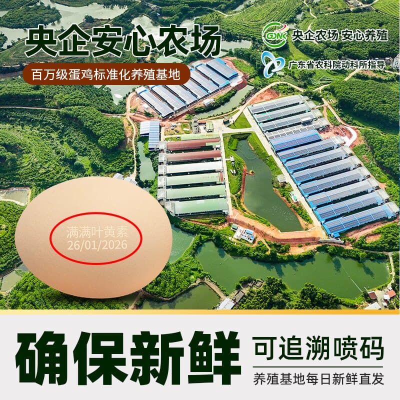 猫超臻选叶黄素鸡蛋50g*30枚蛋益满满无抗无沙门氏菌鲜蛋可生食级 - 缩略图3