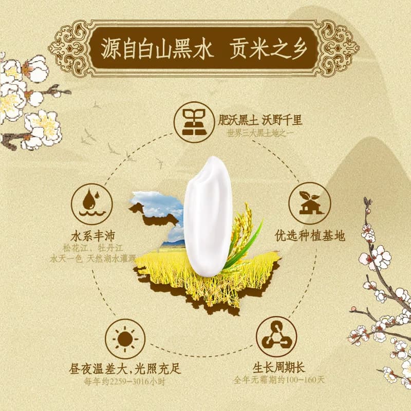 下拉享特价 金龙鱼乳玉皇妃稻香贡米5kg*2袋东北大米 香糯入魂 - 缩略图4
