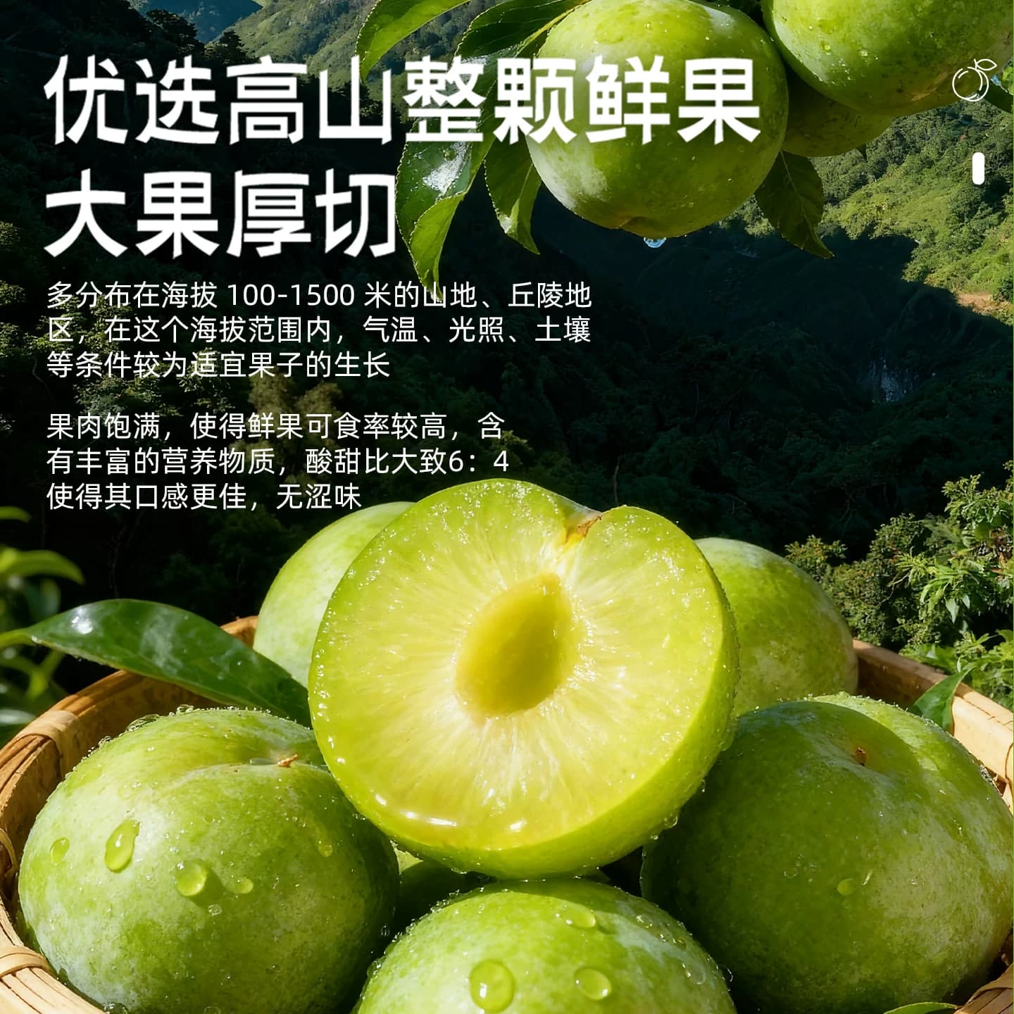 溜溜梅厚清梅条无核大果厚切果脯类零食办公分享户外出行劲嚼 - 缩略图2