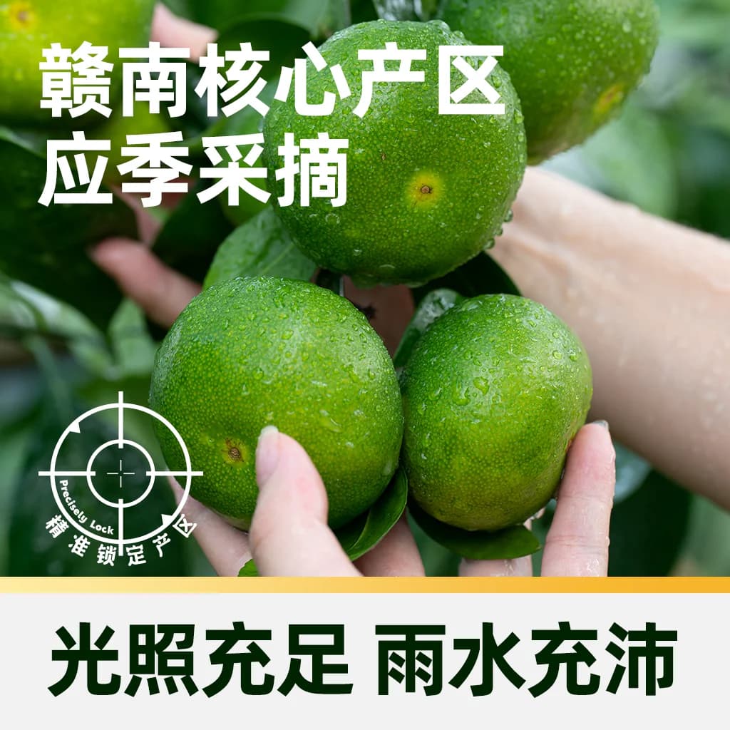 猫超臻选江西寻乌蜜桔新鲜现摘青皮酸甜多汁薄皮孕妇水果产地直发 - 缩略图4