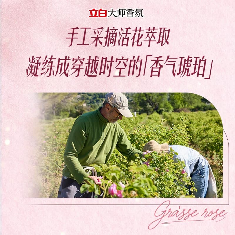【李佳琦直播间618超级狂欢日】立白大师香氛玫瑰洗衣液 - 缩略图5