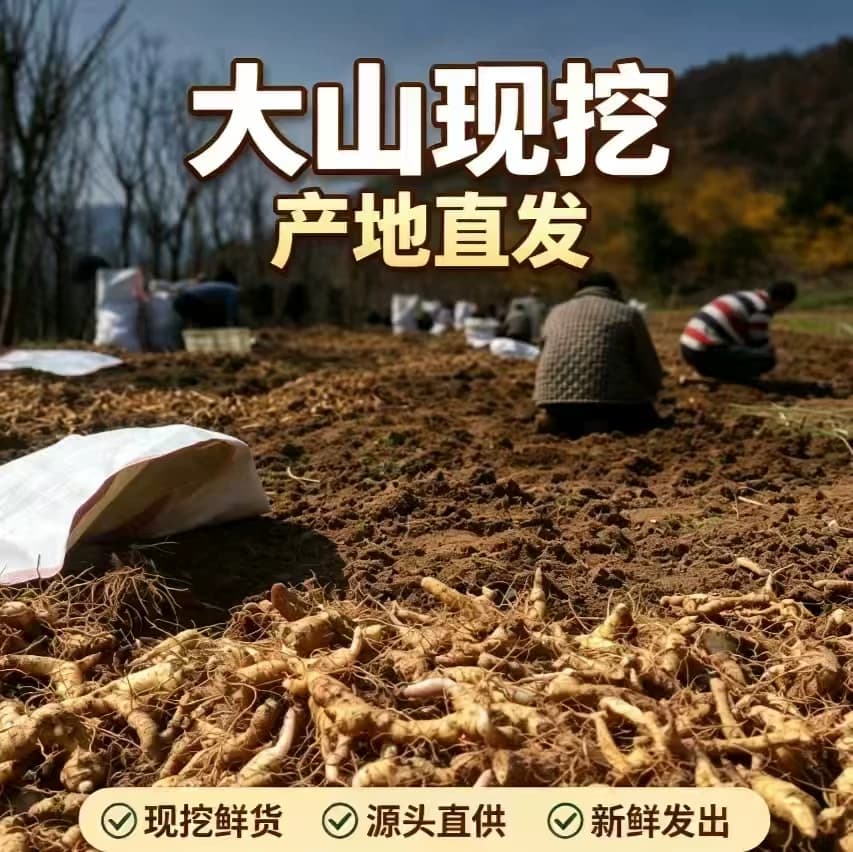 农家现挖鸡头黄精九蒸九晒黄精原料泡水煲汤泡酒药材食用黄精食材 - 缩略图5